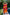 Caftan Capa Woman In Hat